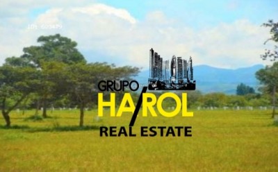 24580 - Ciudad de Panamá - lotes