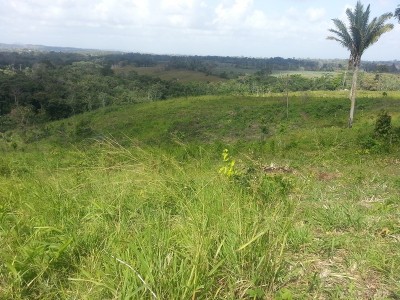 24708 - La Chorrera - lotes