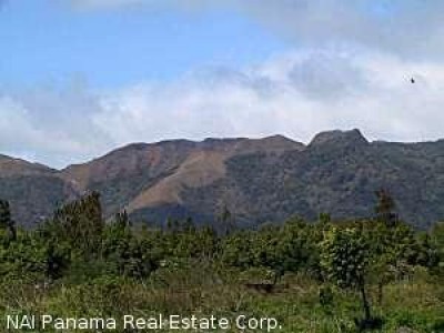 2471 - El valle de anton - casas