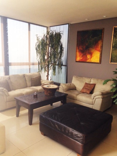 25317 - San francisco - apartamentos - mandarin bay