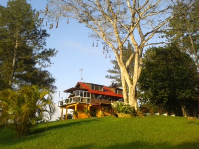 25439 - Ciudad de Panamá - fincas