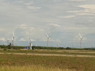 25951 - Penonomé - fincas