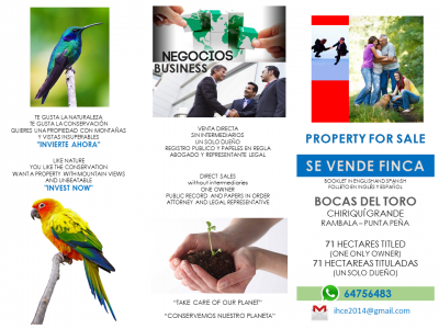 26052 - Chiriquí Grande - fincas