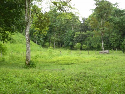 26172 - Barú - fincas