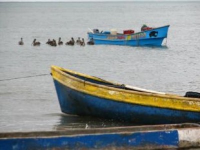 26328 - Los Santos - lotes