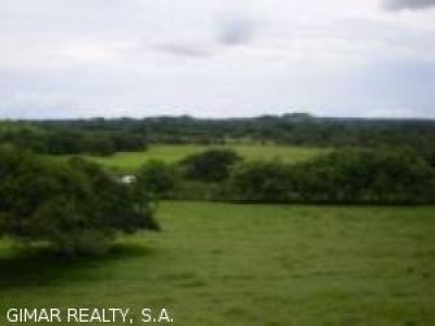 2641 - Los Santos - fincas