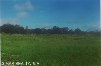 2647 - Penonomé - fincas