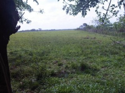 26740 - Pacora - lots