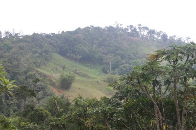 27259 - Chepo - fincas