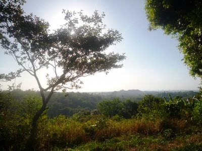 28468 - San carlos - lots