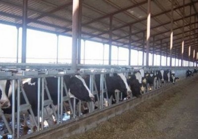 28650 - Ciudad de Panamá - fincas