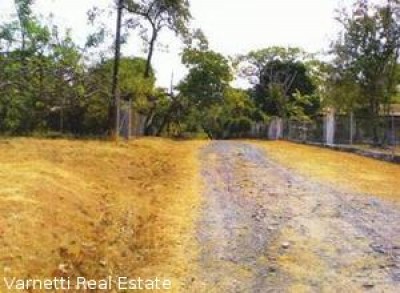 2923 - Coronado - lots