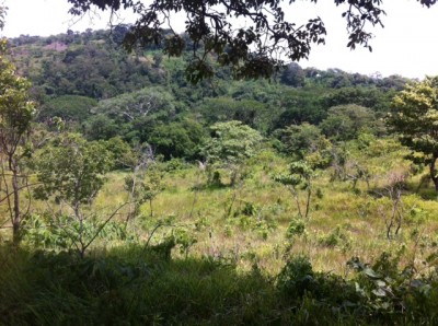 29303 - La Chorrera - lotes