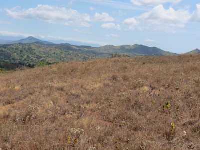 30052 - Tolé - farms