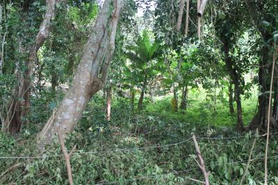 30459 - Las Tablas - farms