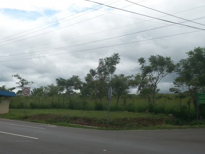 31010 - Dolega - lotes