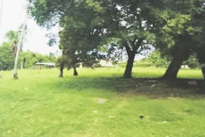 31136 - Rio hato - lotes