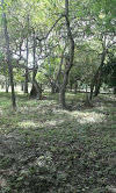 31400 - Capira - lotes