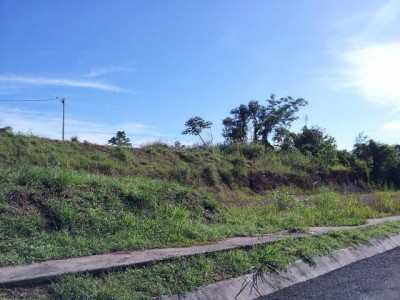 31732 - Ciudad de Panamá - houses - las arboledas