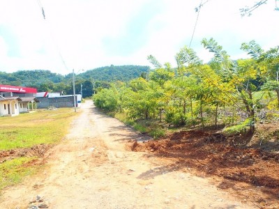 32041 - Villa carmen - lotes