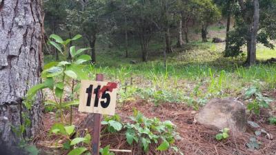 32760 - Altos del maria - lots