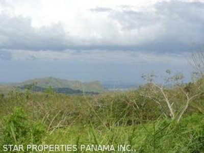 3281 - Cermeño - fincas