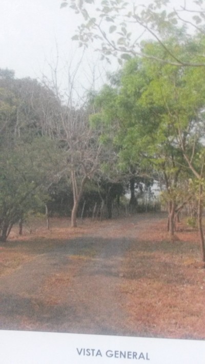 33276 - El roble - fincas