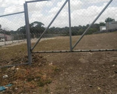 33806 - Las mañanitas - lotes