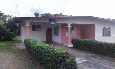 33875 - David - casas