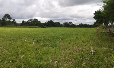 34374 - Bugaba - fincas