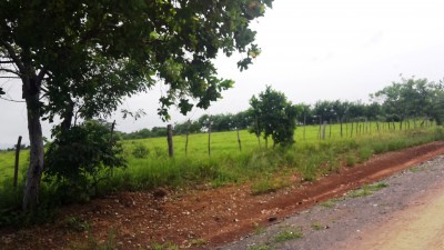 34531 - Pacora - lots