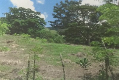 35805 - Cañita - fincas