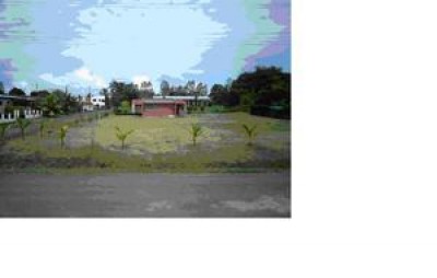 3629 - Chitré - lotes