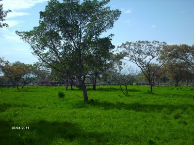 36882 - Caldera - lotes