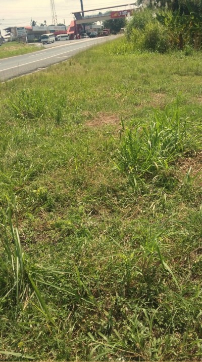 37085 - El valle de anton - lotes