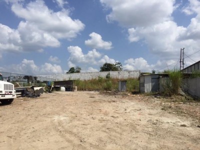 37140 - 24 de diciembre - lotes