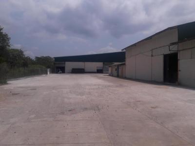 39217 - Vacamonte - propiedades