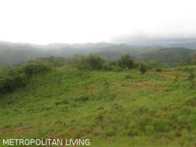 4342 - Penonomé - lots