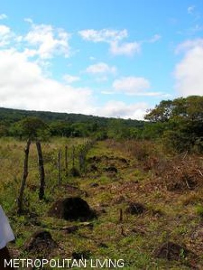 4474 - Caldera - properties