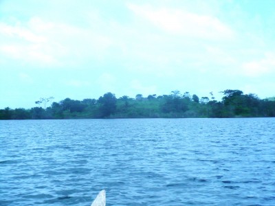 448 - La Chorrera - lotes