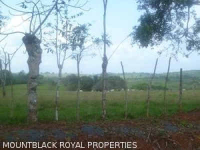 4754 - La Chorrera - lots