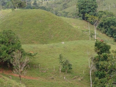 4913 - La Pintada - fincas