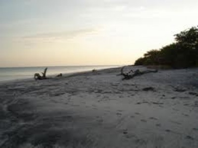 4921 - Antón - lotes