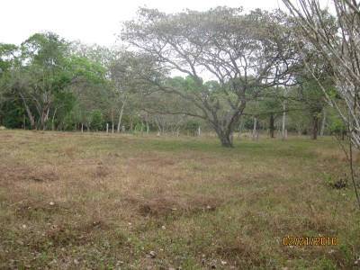 503 - Atalaya - lotes