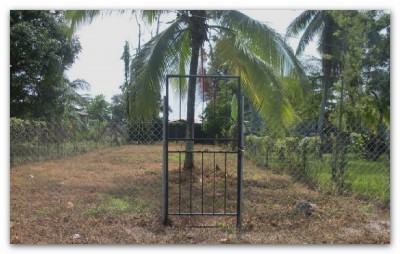 5036 - Isla Colón - lotes