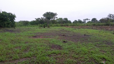 50984 - San carlos - lots