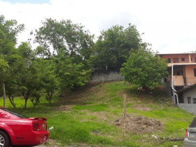 51838 - Betania - lotes