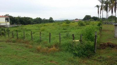 52697 - Las Tablas - lotes