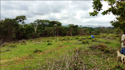 52711 - Ciudad de Panamá - fincas