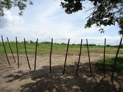 52976 - Antón - lotes